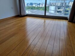 Cairnhill Nine (D9), Apartment #629248861